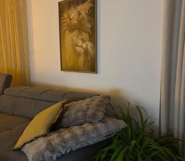 Moyenmoutier House | Gîtes Vosges, Spa, Sauna & Piscine