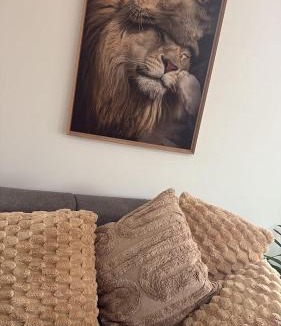 Moyenmoutier House | Gîtes Vosges, Spa, Sauna & Piscine