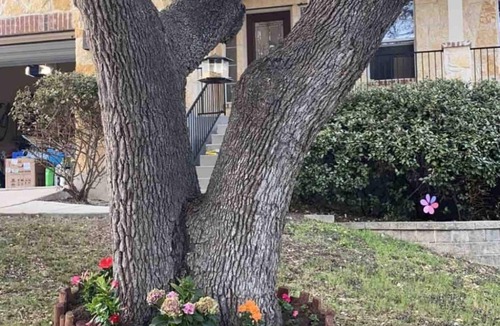 San Antonio House | G-L-A-M Home in Alamo Ranch San Antonio