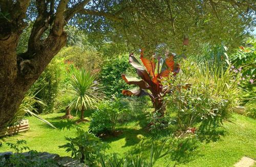 Saint-Germain-de-Princay House | G1 les oliviers