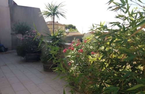 Chateauneuf-du-Pape Cottage | Gabriel wine tourism gîte