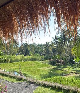 Munduk House | Gala Munduk Guest House
