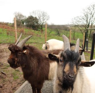 Gronant Apartment | Galactic getaways JUPITER