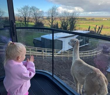 Gronant Cabin | Galactic getaways PLUTO