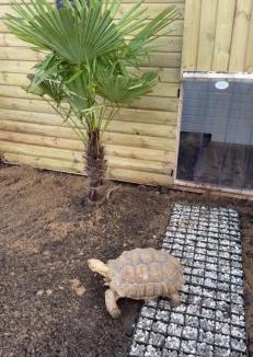 Gronant Cabin | Galactic getaways PLUTO