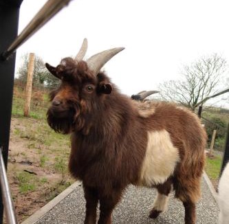 Gronant Cabin | Galactic getaways PLUTO