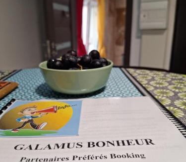 Saint-Paul-de-Fenouillet Apartment | Galamus Bonheur - L'art de choisir