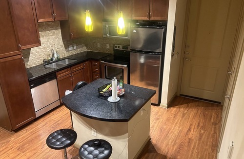 Houston Apartment | Galleria Area 1Bd with great pool view, pet friendly!