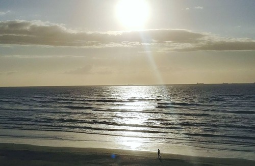 San Jacinto Condo | GALVESTON TEXAS