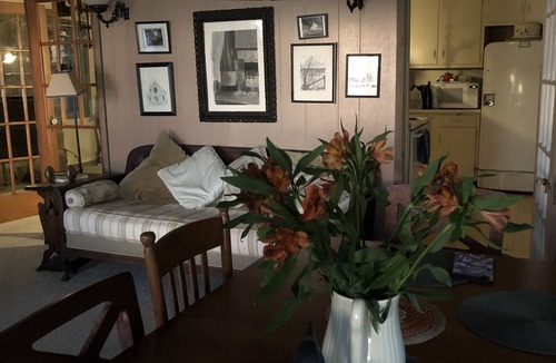 Galway Cabin | Galway Lakefront Camp with a View