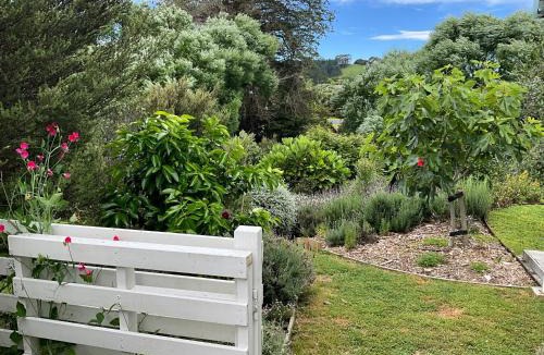 Matakana Apartment | Garden Apartment