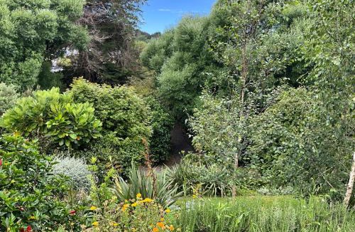 Matakana Apartment | Garden Apartment