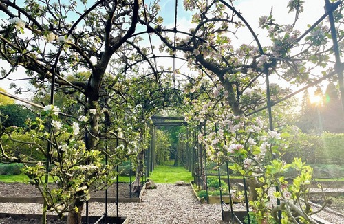 Liphook Cottage | Garden Cottage 2 - UK42882