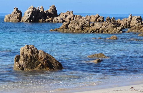 Serra-di-Ferro House | Garden level for rent in house.