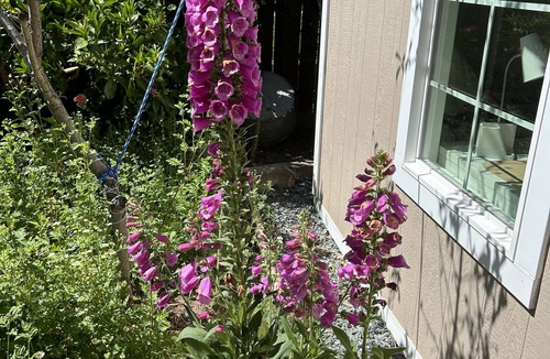 Martinez Apartment | Garden Studio 5 minutes to downtown