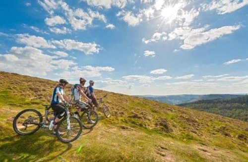 Cwmcarn House | Garden Suburbs Cottage