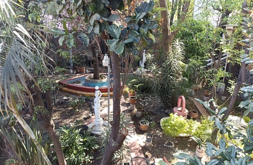 Villa Coapa Apartment | Garden Suite, a few blocks from the Azteca Stadium