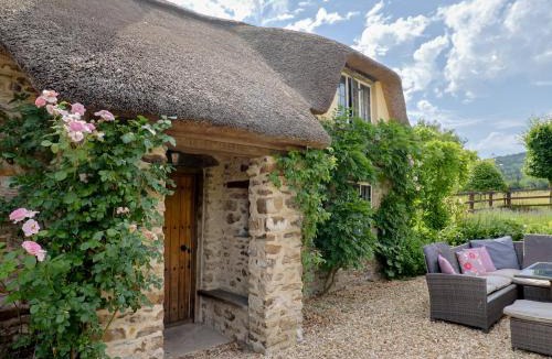 West Buckland House | Garden View