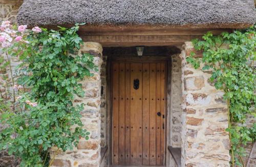West Buckland House | Garden View