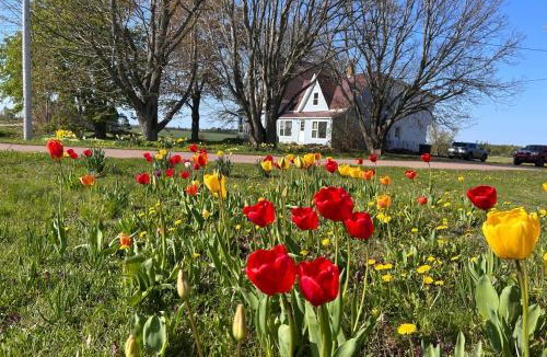 Borden-Carleton Apartment | Garden View near Confederation Bridge and Beaches