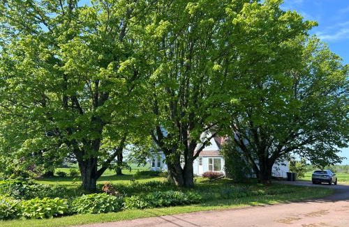 Borden-Carleton Apartment | Garden View near Confederation Bridge and Beaches