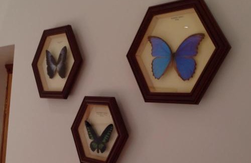 Bakewell Bed & Breakfast | Gardeners Cottage B and B