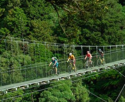 Tamahere House | Gardeners' Cottage