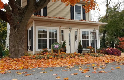 Luray Apartment | Garfield Guest House - Stonyman Suite