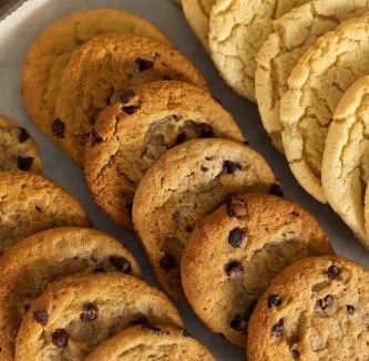 Brockton Hotel | Garner Hotel Brockton - Boston by IHG