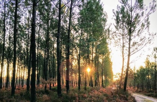 Meilhan House | Garragnon - Meilhan - Gîte