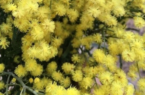 Meilhan House | Garragnon - Meilhan - Gîte