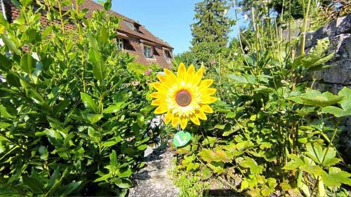 Pratteln Villa | Garten-Villa nähe Basel