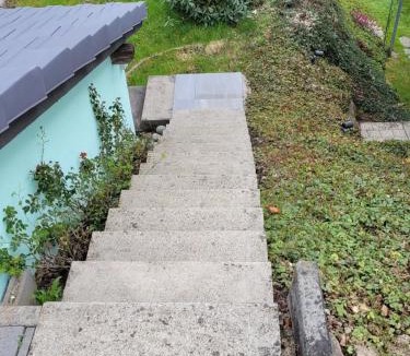Adligenswil Apartment | Garten-Wohnung in Adligenswil