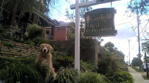 Clifton Bed & Breakfast | Gaslight Bed & Breakfast