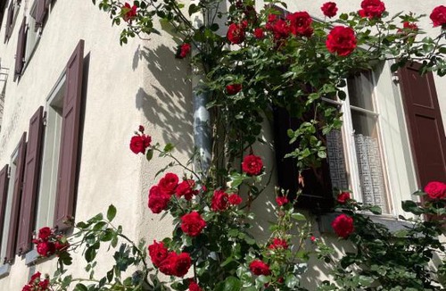 Zillis Bed & Breakfast | Gasthaus Beverin
