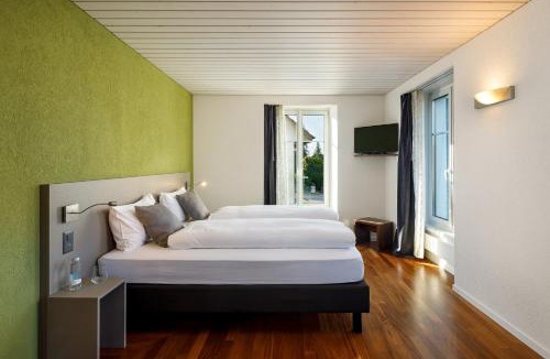 Uster District Hotel | Gasthof Löwen