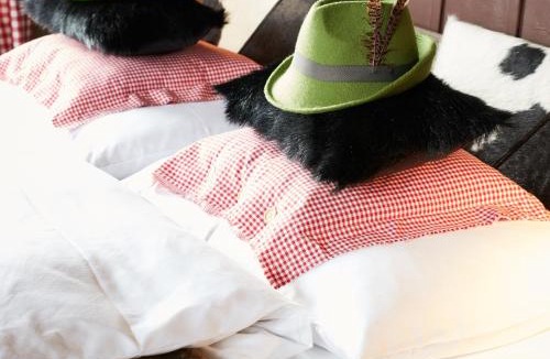 Birmenstorf Hotel | Gasthof zum Bären Birmenstorf GmbH