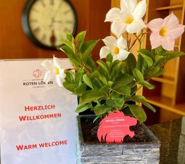 Hildisrieden Hotel | Gasthof zum Roten Löwen