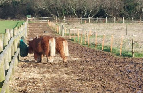 Grampound House | Gateway to Cornwall