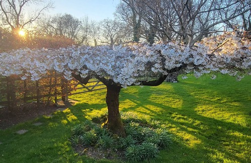 Great Hallingbury House | A Stone's Throw, Secluded, private accommodation for a peaceful stay.