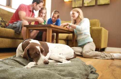 North York Moors National Park Cabin | 3 bedroom accommodation in Cropton, Pickering