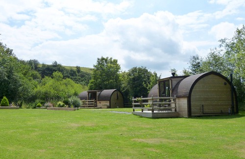 Saint Asaph Cabin | Gelert Pod