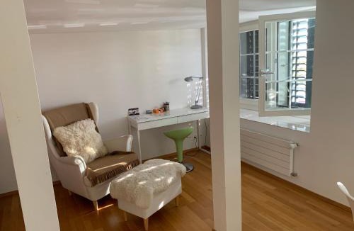 Meilen District Apartment | Gemütliche Ferienwohnung Zürichsee, Seeblick, am Hafen Stäfa
