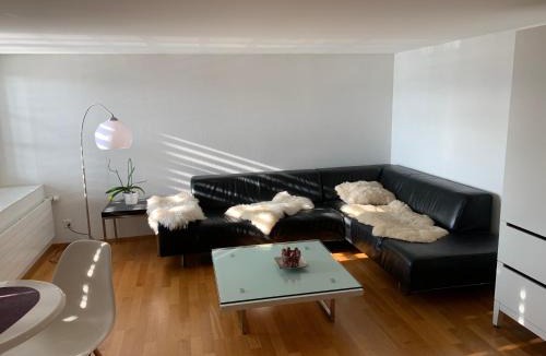 Meilen District Apartment | Gemütliche Ferienwohnung Zürichsee, Seeblick, am Hafen Stäfa