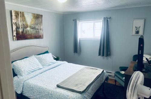 Mount Pearl Apartment | Gem in Da Pearl