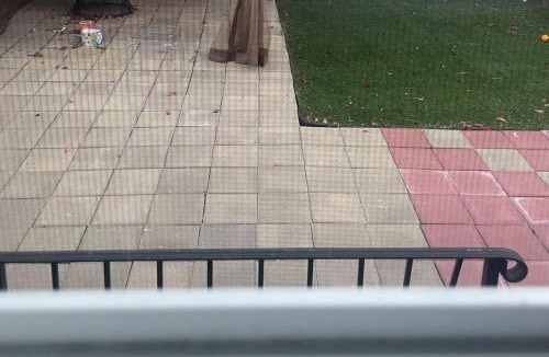 Williamsbridge Apartment | Gem in the Bronx, New York