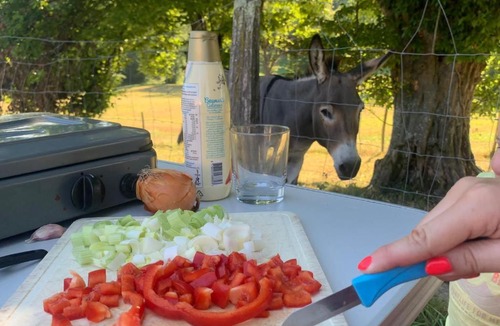 Condal Other | Gemeubileerde tent