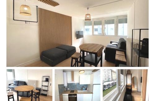 Gaillard Apartment | Geneva Modern Motel