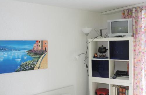 Lenzerheide Apartment | Gentiana (162 Li) Studio