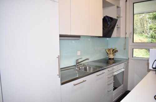 Lenzerheide Apartment | Gentiana (463 Li) 4-ZW